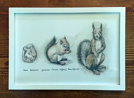 Poster illustratsiooniga orava kasvamisest puitraamis